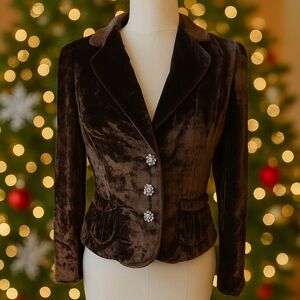 Banana Republic Rich Brown Velvet Blazer Silk Blend VTG Y2K
